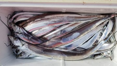 暁〜akatsuki〜 釣果