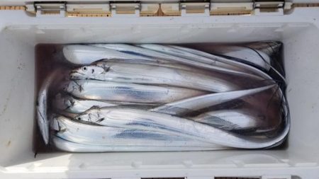 暁〜akatsuki〜 釣果