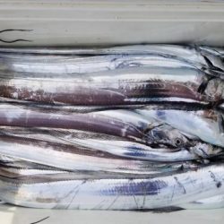 暁〜akatsuki〜 釣果