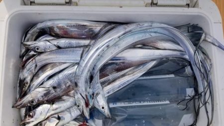 暁〜akatsuki〜 釣果