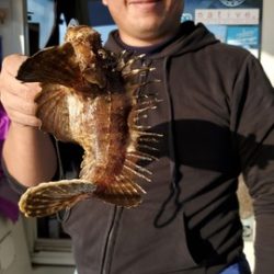 遊漁船 ニライカナイ 釣果