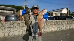 まこと渡船 釣果