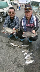 まこと渡船 釣果