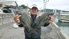 まこと渡船 釣果