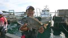 まこと渡船 釣果