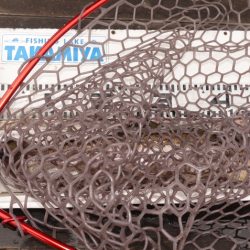 フィッシングレイクたかみや 釣果