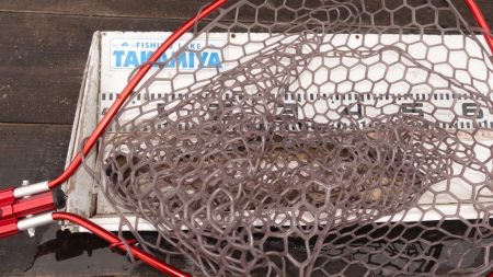 フィッシングレイクたかみや 釣果