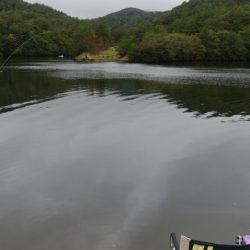 フィッシングレイクたかみや 釣果