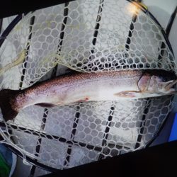 フィッシングレイクたかみや 釣果