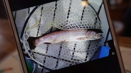 フィッシングレイクたかみや 釣果