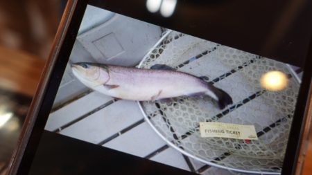 フィッシングレイクたかみや 釣果
