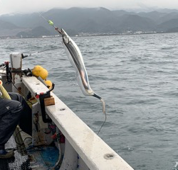 幸吉丸 釣果