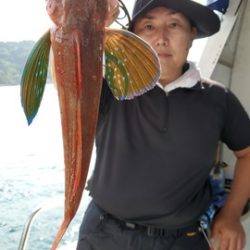 遊漁船 ニライカナイ 釣果