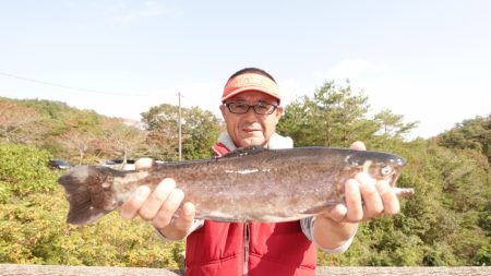 フィッシングレイクたかみや 釣果
