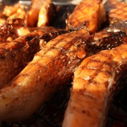 フィッシングレイクたかみや 釣果