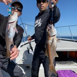 へいみつ丸 釣果