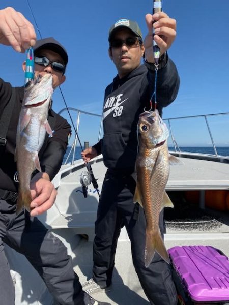 へいみつ丸 釣果