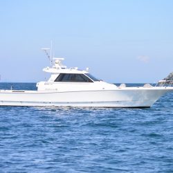 フィッシングボートACE（エース） 釣果