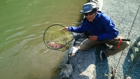 フィッシングエリア帝釈 釣果