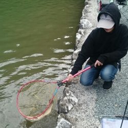 フィッシングエリア帝釈 釣果