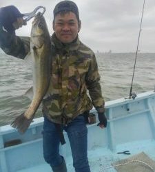 東京湾探釣隊ぼっち 釣果