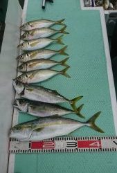 KONAYAーMARU(こなや丸) 釣果