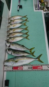 KONAYAーMARU(こなや丸) 釣果