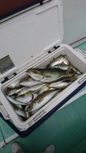 KONAYAーMARU(こなや丸) 釣果