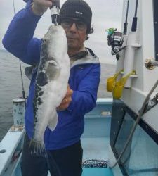 東京湾探釣隊ぼっち 釣果