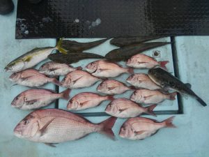 東京湾探釣隊ぼっち 釣果