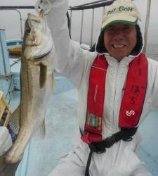 東京湾探釣隊ぼっち 釣果