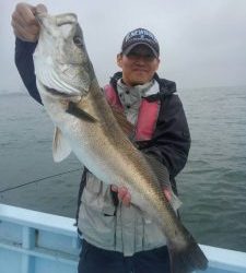 東京湾探釣隊ぼっち 釣果