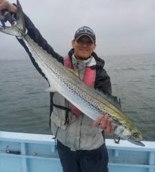 東京湾探釣隊ぼっち 釣果