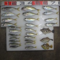 のとじま臨海公園海づりセンター 釣果