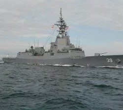 東京湾探釣隊ぼっち 釣果