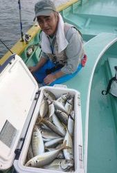 ＫＯＮＡＹＡｰＭＡＲＵ（こなや丸） 釣果