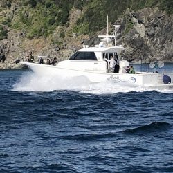 フィッシングボートACE(エース) 釣果