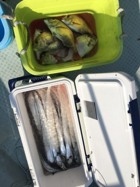 リトルワン 釣果