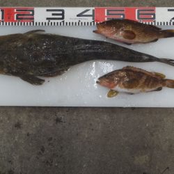 のとじま臨海公園海づりセンター 釣果