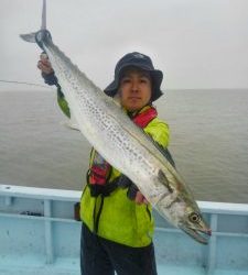 東京湾探釣隊ぼっち 釣果
