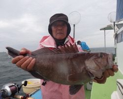 久里浜黒川本家 釣果