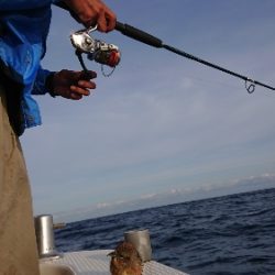 IDATEN（イダテン） 釣果