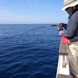鯛紅丸 釣果