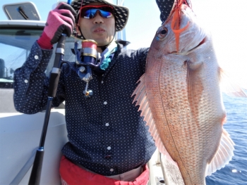 鯛紅丸 釣果
