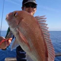 鯛紅丸 釣果