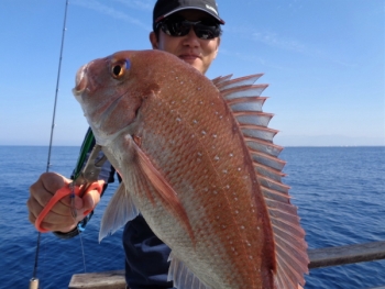 鯛紅丸 釣果