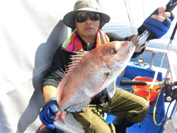 鯛紅丸 釣果