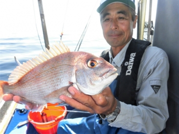 鯛紅丸 釣果