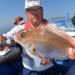 鯛紅丸 釣果