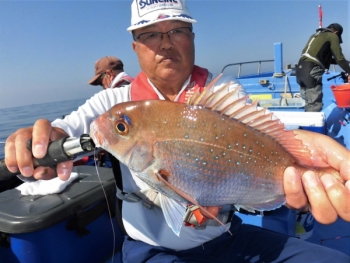 鯛紅丸 釣果